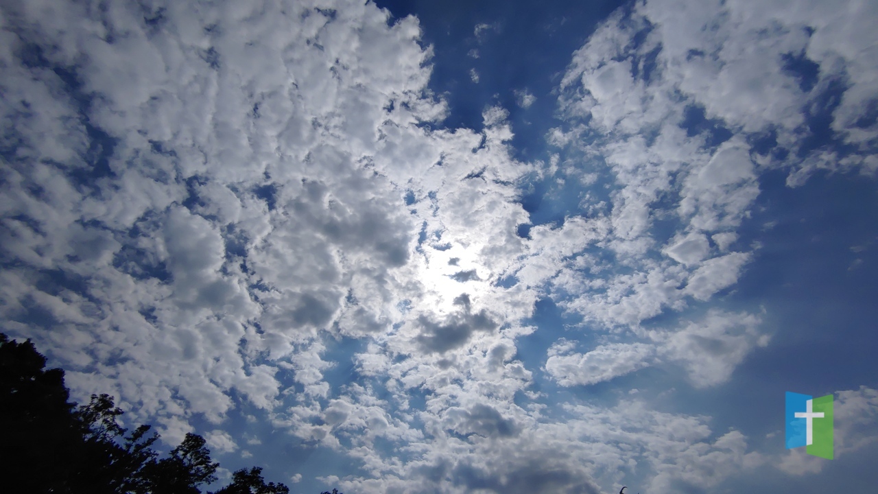 20230604_154322.jpg