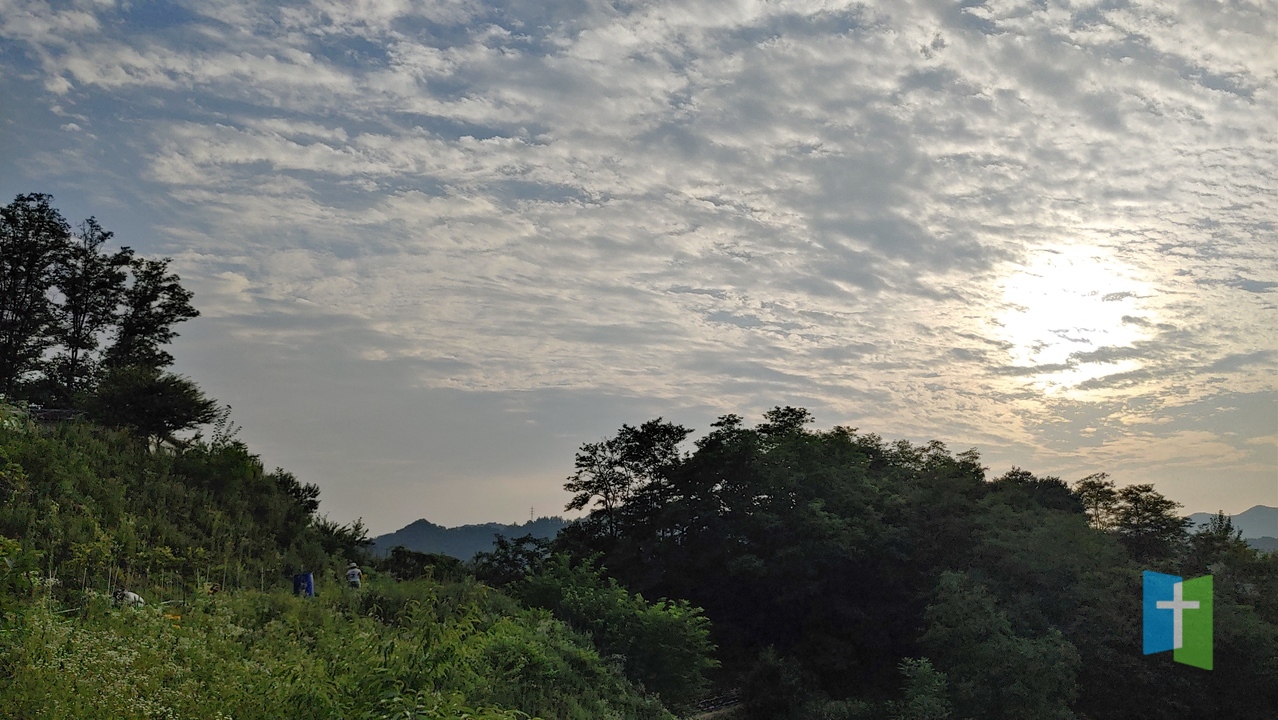 20230702_183919_HDR.jpg