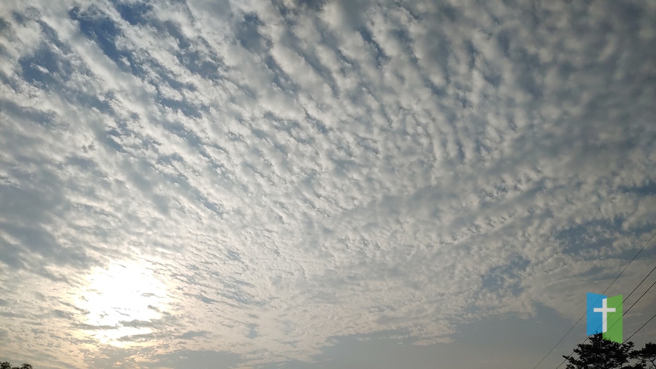 20230702_183924.jpg