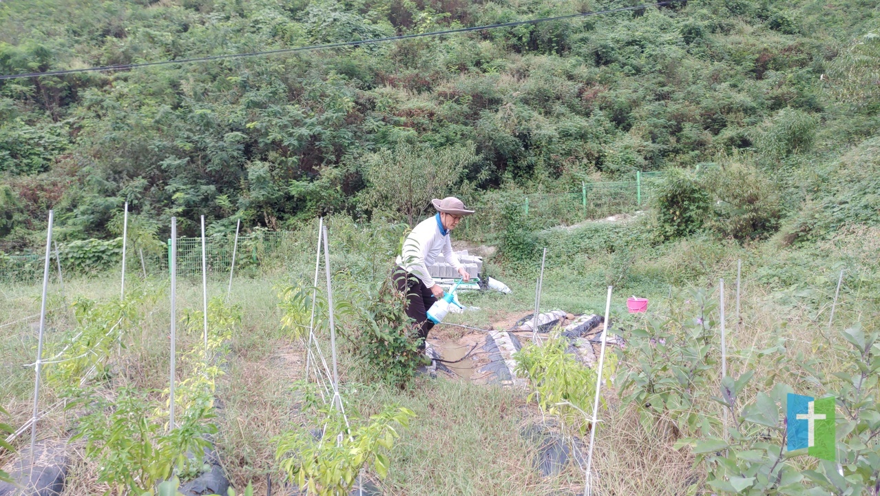 20230917_175732.jpg