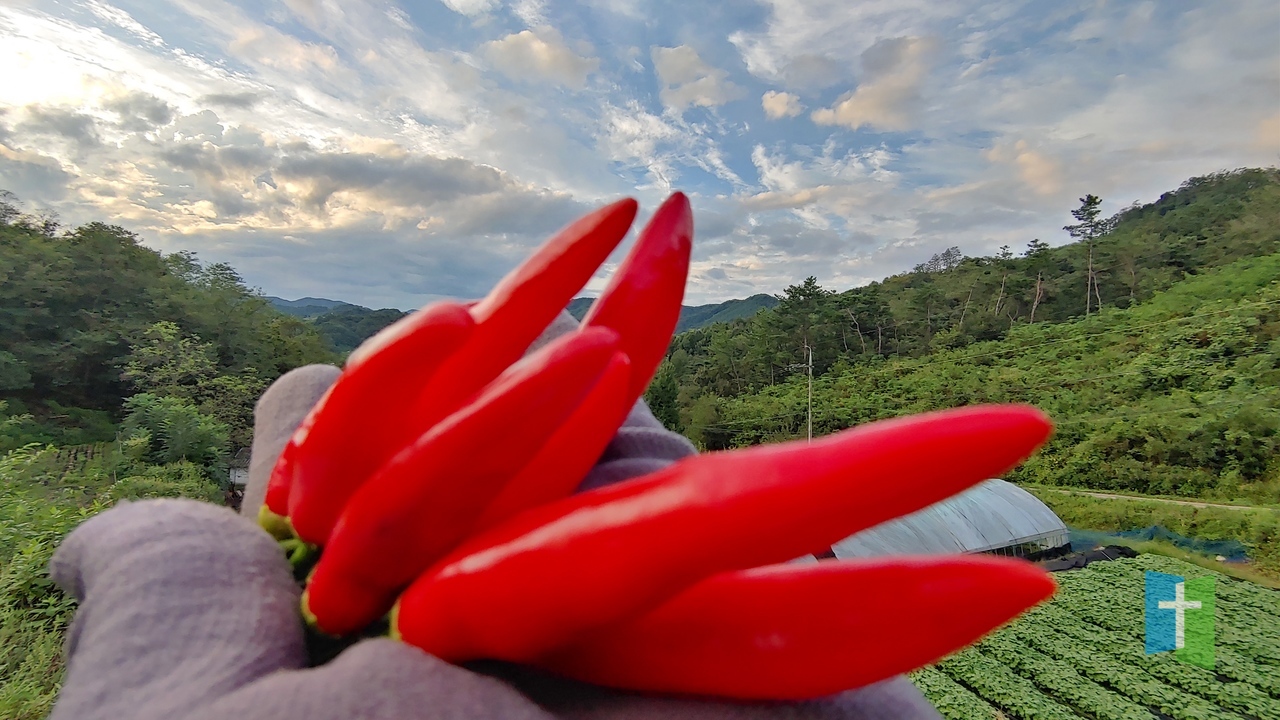 20230917_180636_HDR.jpg